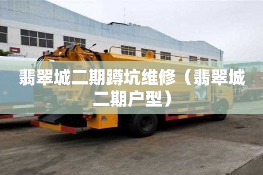 翡翠城二期蹲坑維修（翡翠城二期戶型）
