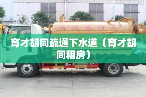 育才胡同疏通下水道（育才胡同租房）