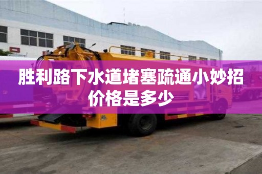 勝利路下水道堵塞疏通小妙招價格是多少