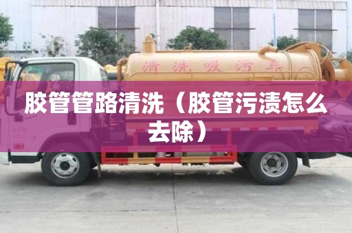 膠管管路清洗（膠管污漬怎么去除）