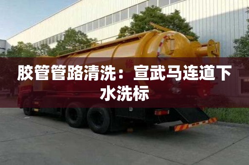 膠管管路清洗：宣武馬連道下水洗標(biāo)