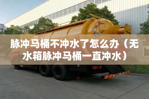 脈沖馬桶不沖水了怎么辦（無水箱脈沖馬桶一直沖水）
