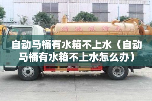 自動馬桶有水箱不上水（自動馬桶有水箱不上水怎么辦）