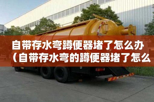 自帶存水彎蹲便器堵了怎么辦（自帶存水彎的蹲便器堵了怎么辦）