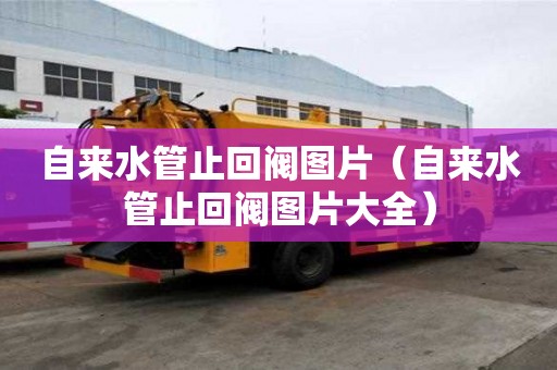 自來水管止回閥圖片（自來水管止回閥圖片大全）