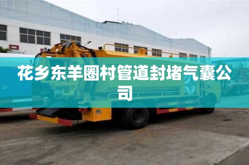 花鄉(xiāng)東羊圈村管道封堵氣囊公司