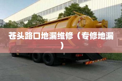 蒼頭路口地漏維修（專修地漏）