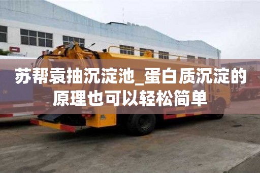 蘇幫袁抽沉淀池_蛋白質沉淀的原理也可以輕松簡單