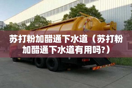 蘇打粉加醋通下水道（蘇打粉加醋通下水道有用嗎?）