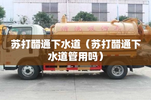 蘇打醋通下水道（蘇打醋通下水道管用嗎）