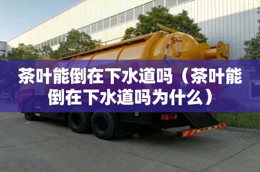 茶葉能倒在下水道嗎（茶葉能倒在下水道嗎為什么）