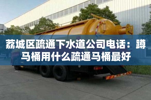 荔城區(qū)疏通下水道公司電話：蹲馬桶用什么疏通馬桶最好