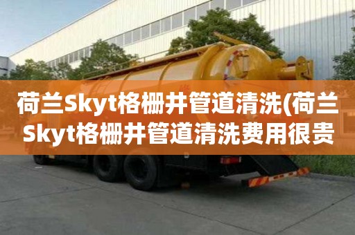 荷蘭Skyt格柵井管道清洗(荷蘭Skyt格柵井管道清洗費用很貴嗎)