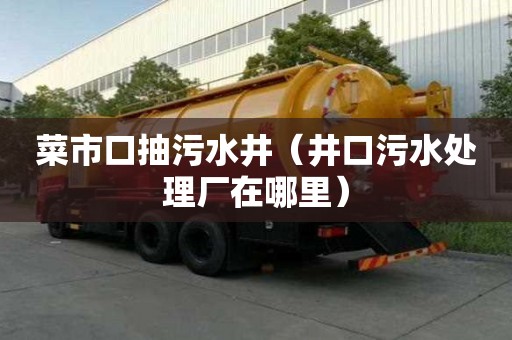 菜市口抽污水井（井口污水處理廠在哪里）