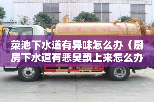 菜池下水道有異味怎么辦（廚房下水道有惡臭飄上來怎么辦）