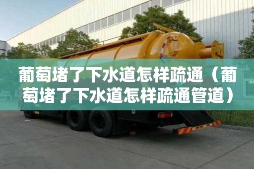 葡萄堵了下水道怎樣疏通（葡萄堵了下水道怎樣疏通管道）