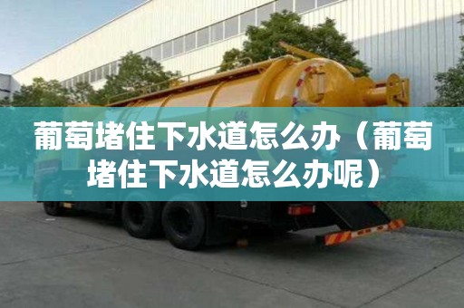葡萄堵住下水道怎么辦（葡萄堵住下水道怎么辦呢）