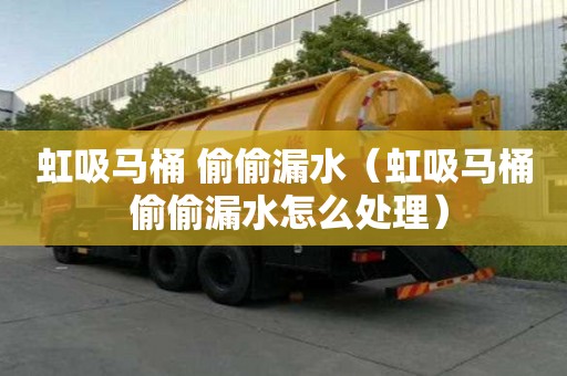虹吸馬桶 偷偷漏水（虹吸馬桶 偷偷漏水怎么處理）
