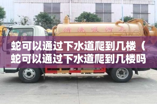 蛇可以通過下水道爬到幾樓（蛇可以通過下水道爬到幾樓嗎）