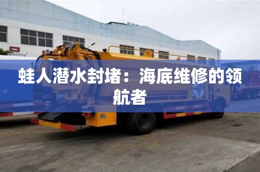蛙人潛水封堵：海底維修的領(lǐng)航者
