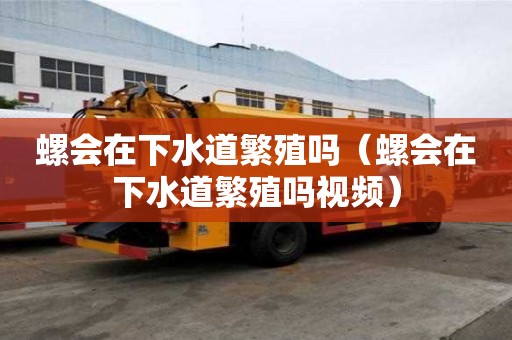 螺會在下水道繁殖嗎（螺會在下水道繁殖嗎視頻）