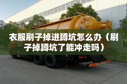 衣服刷子掉進(jìn)蹲坑怎么辦（刷子掉蹲坑了能沖走嗎）