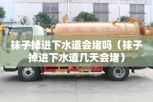 襪子掉進下水道會堵嗎（襪子掉進下水道幾天會堵）