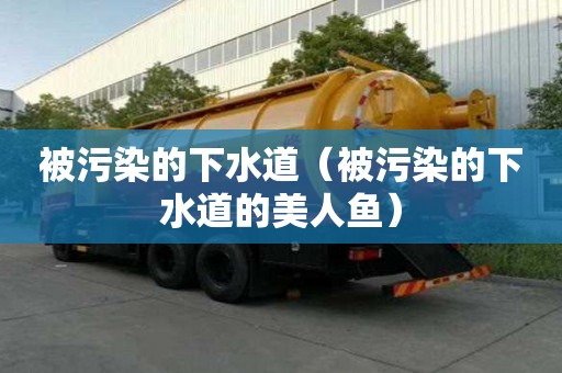 被污染的下水道(被污染的下水道的美人魚) 被污染的下水道(被污染的下水道的美人魚)