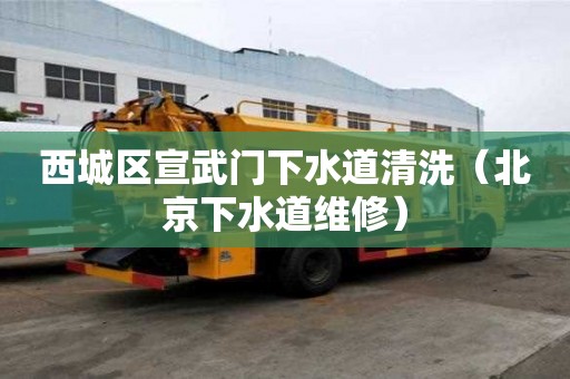 西城區(qū)宣武門下水道清洗（北京下水道維修）