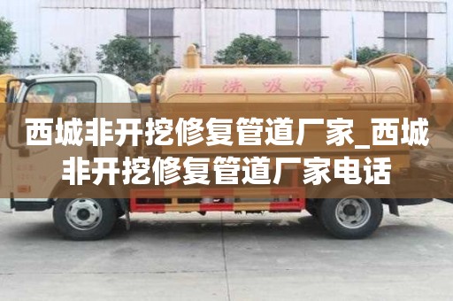 西城非開挖修復管道廠家_西城非開挖修復管道廠家電話