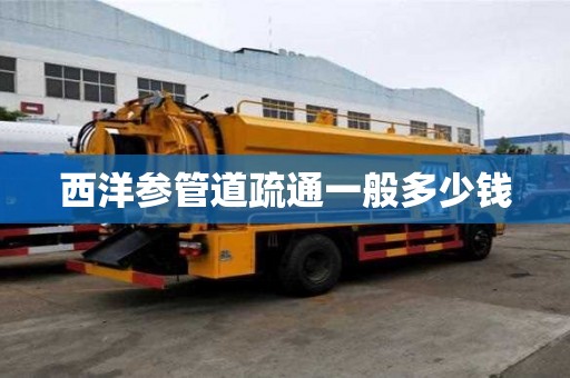 西洋參管道疏通一般多少錢