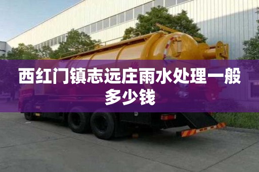 西紅門鎮志遠莊雨水處理一般多少錢