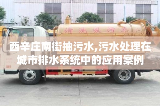 西辛莊南街抽污水,污水處理在城市排水系統中的應用案例