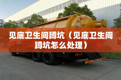 見底衛生間蹲坑（見底衛生間蹲坑怎么處理）