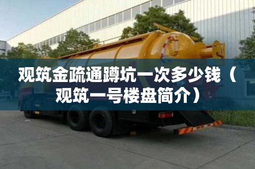 觀筑金疏通蹲坑一次多少錢（觀筑一號樓盤簡介）