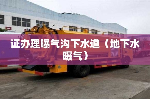 證辦理曝氣溝下水道（地下水曝氣）