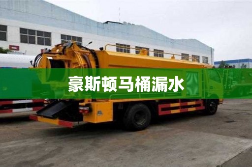 豪斯頓馬桶漏水