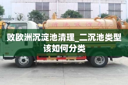 敗歐洲沉淀池清理_二沉池類型該如何分類
