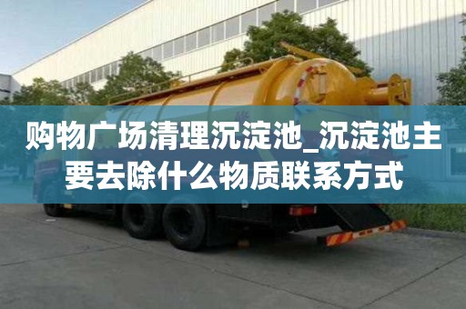 購物廣場清理沉淀池_沉淀池主要去除什么物質聯系方式