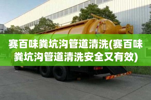 賽百味糞坑溝管道清洗(賽百味糞坑溝管道清洗安全又有效)