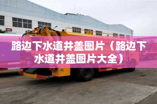 路邊下水道井蓋圖片（路邊下水道井蓋圖片大全）