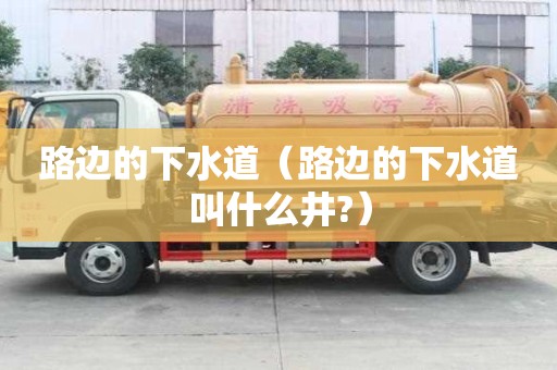路邊的下水道（路邊的下水道叫什么井?）