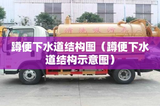 蹲便下水道結構圖（蹲便下水道結構示意圖）