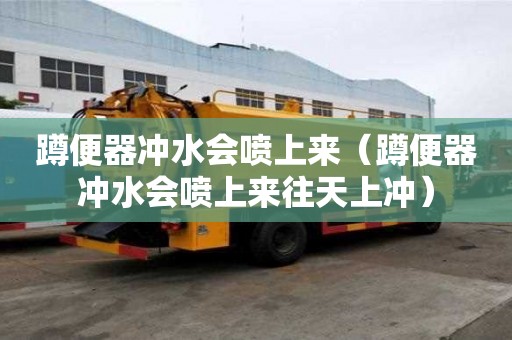 蹲便器沖水會噴上來（蹲便器沖水會噴上來往天上沖）