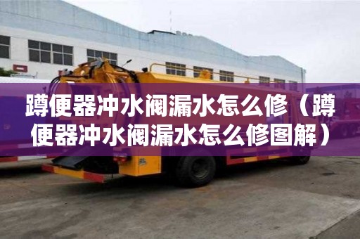 蹲便器沖水閥漏水怎么修（蹲便器沖水閥漏水怎么修圖解）