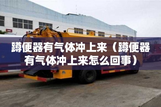 蹲便器有氣體沖上來（蹲便器有氣體沖上來怎么回事）