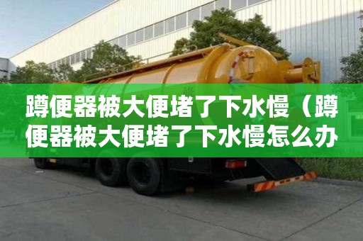 蹲便器被大便堵了下水慢（蹲便器被大便堵了下水慢怎么辦）