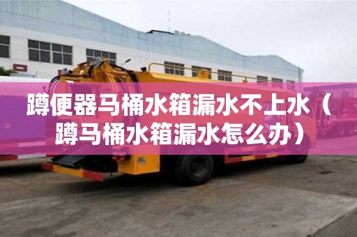 蹲便器馬桶水箱漏水不上水（蹲馬桶水箱漏水怎么辦）