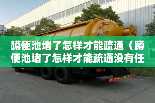 蹲便池堵了怎樣才能疏通（蹲便池堵了怎樣才能疏通沒有任何工具）