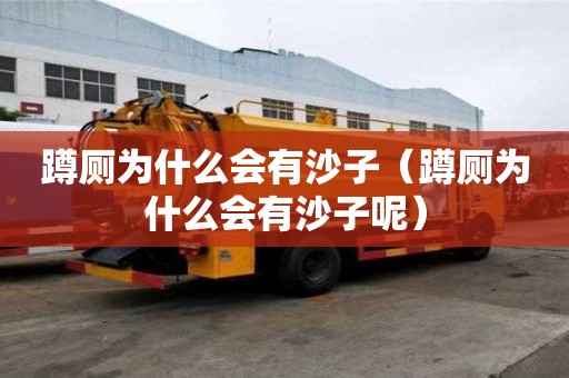 蹲廁為什么會有沙子（蹲廁為什么會有沙子呢）